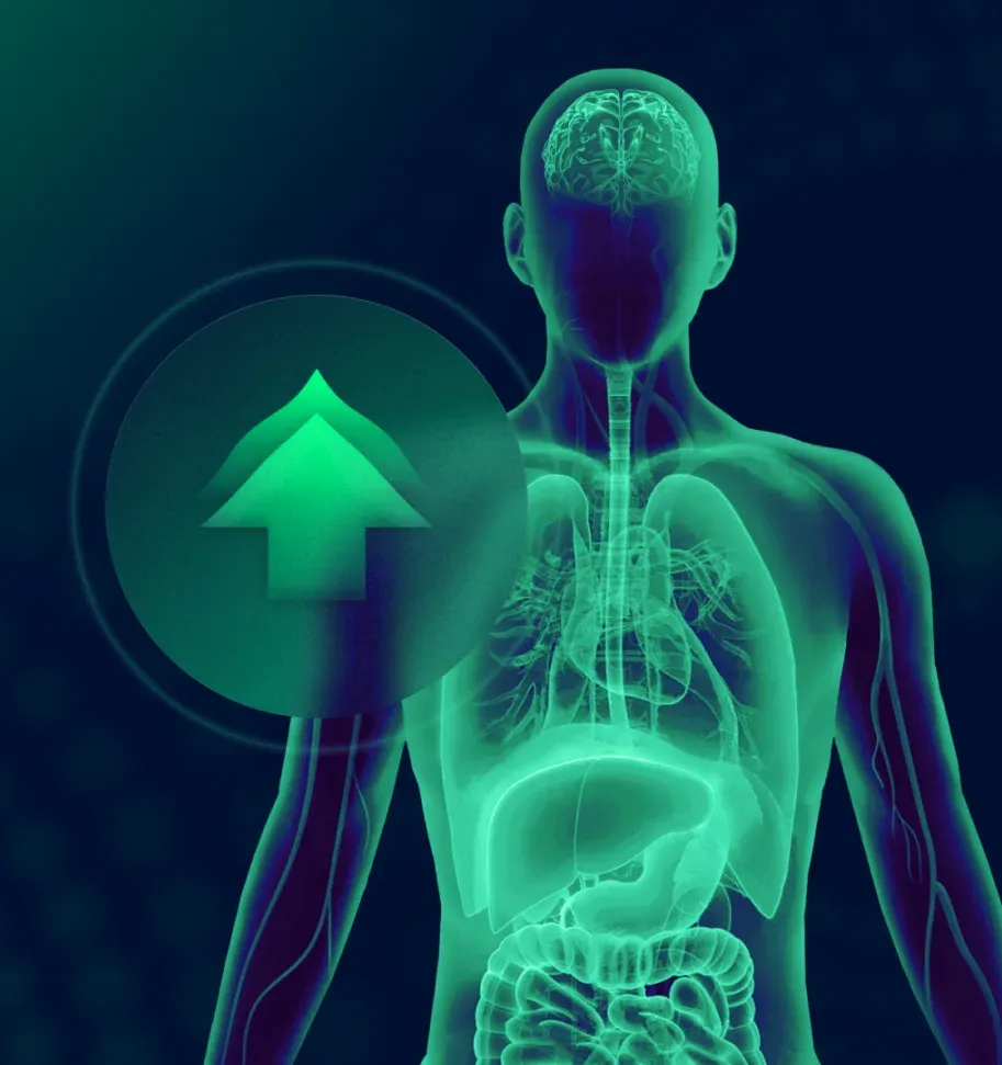 Збалансована робота кишечника