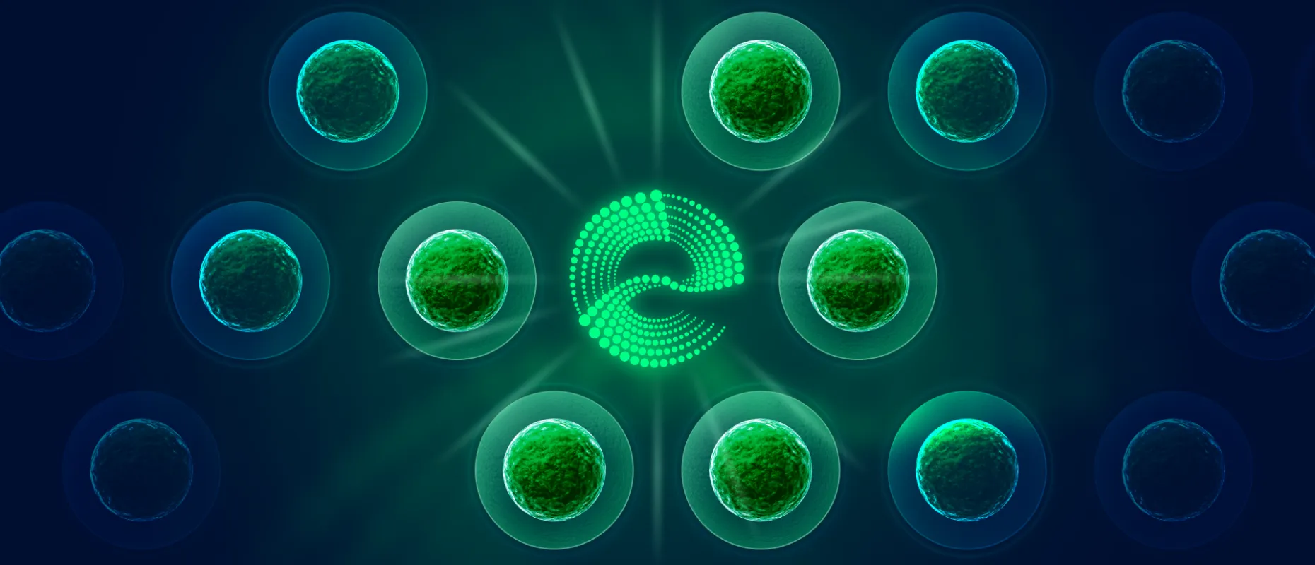 Strengthening of immune system