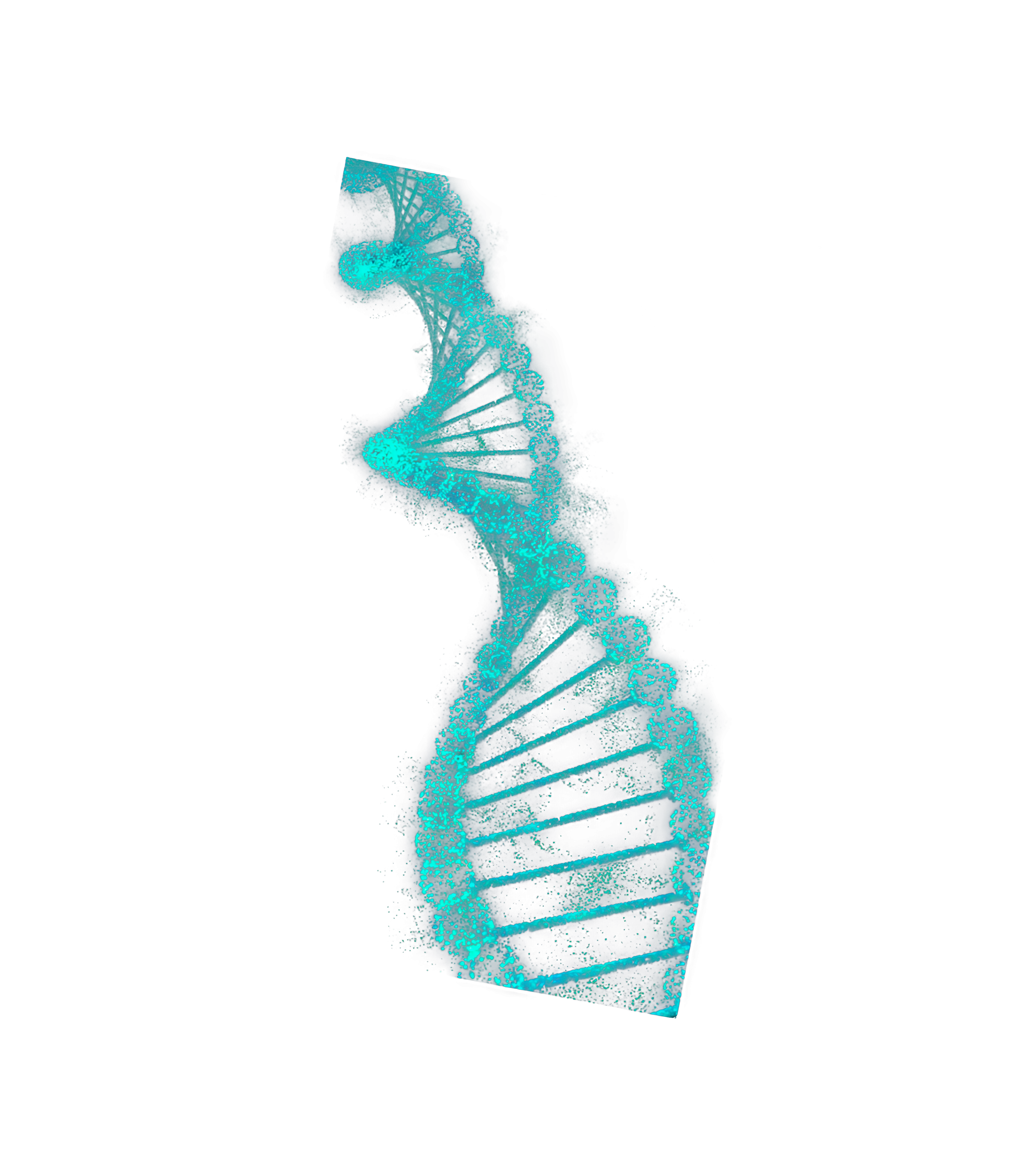 Наука та досвід