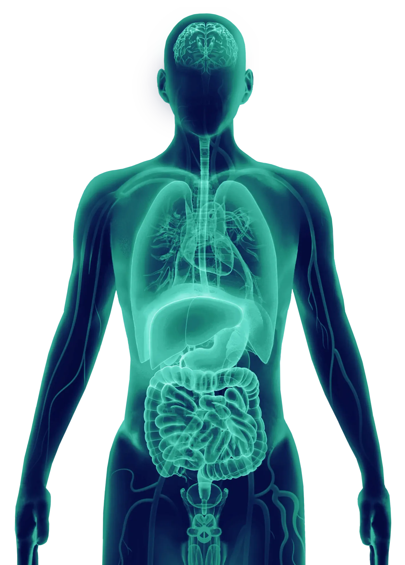 health problems can be divided into 7 categories: